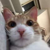 F3f9eLdXcAEwXew