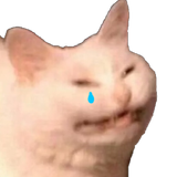 25b