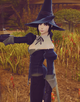 ZcFw9IaB_o