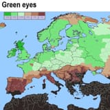 1740581483990032