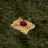 thing