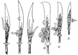 Glaives_by_Wendelin_Boeheim