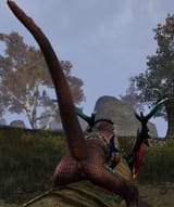 HouseHexosGreaves