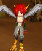 bird
