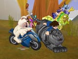roadkill challenge