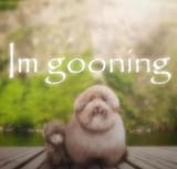 gooning
