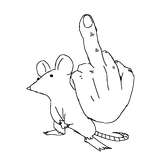rat