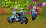 bikes3