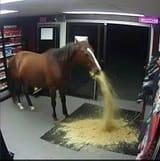 1931139608693162046-01