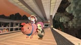 Barnyard Races