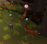 horse growth stage 2
