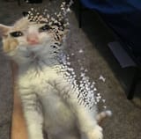 1718742027712205