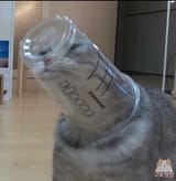 1588600131465