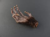 monkey paw