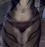 sc0006