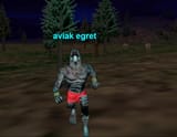 An_Aviak_Egret