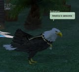 america