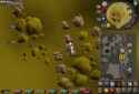 1.1_thumb.jpg