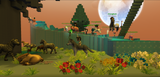 safari