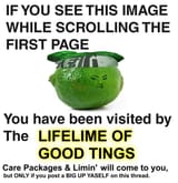 LifelimeofGoodTings