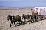 wagonwhen