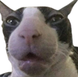 1735927115785853