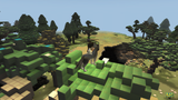 canyon search