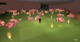 pigs