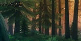 trees