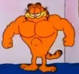 garfield buff