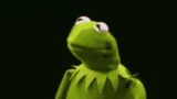 kermit-nod