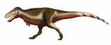 1280px-Zhuchengtyrannus_magnus_reconstruction_jpg