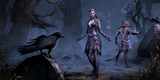 aw_crwn_costumes_neg