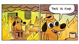 this-is-fine