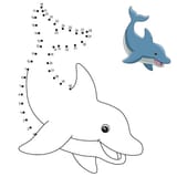 dolphin