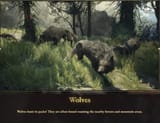 THERE MASTER WOLVES