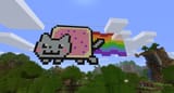 nyan