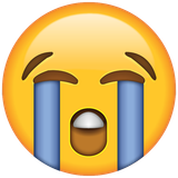 Loudly_Crying_Face_Emoji_grande[1]