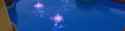 1729136209311343_thumb.jpg