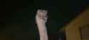 1694116435269911_thumb.jpg