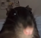 1741450498135337