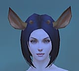 Shikanoko