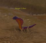 steppe cobra