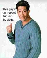 bydogs