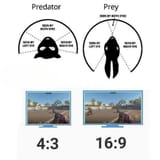 predator_vs_prey