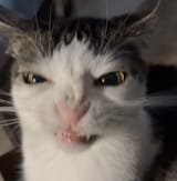 1748226006908766