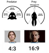 1746564286370155