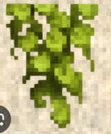 1754978205789