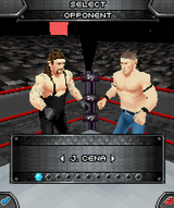WWE SmackDown vs. RAW 2009