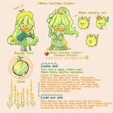 Meet Melon Icecream Cookie